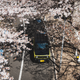 Image for article titled The 660cc 2019 Suzuki Jimny Isn’t Perfect but It's Full of Charm